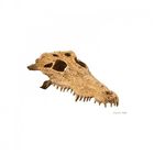 Refugio Crocodile skull Exo-Terra, , large image number null