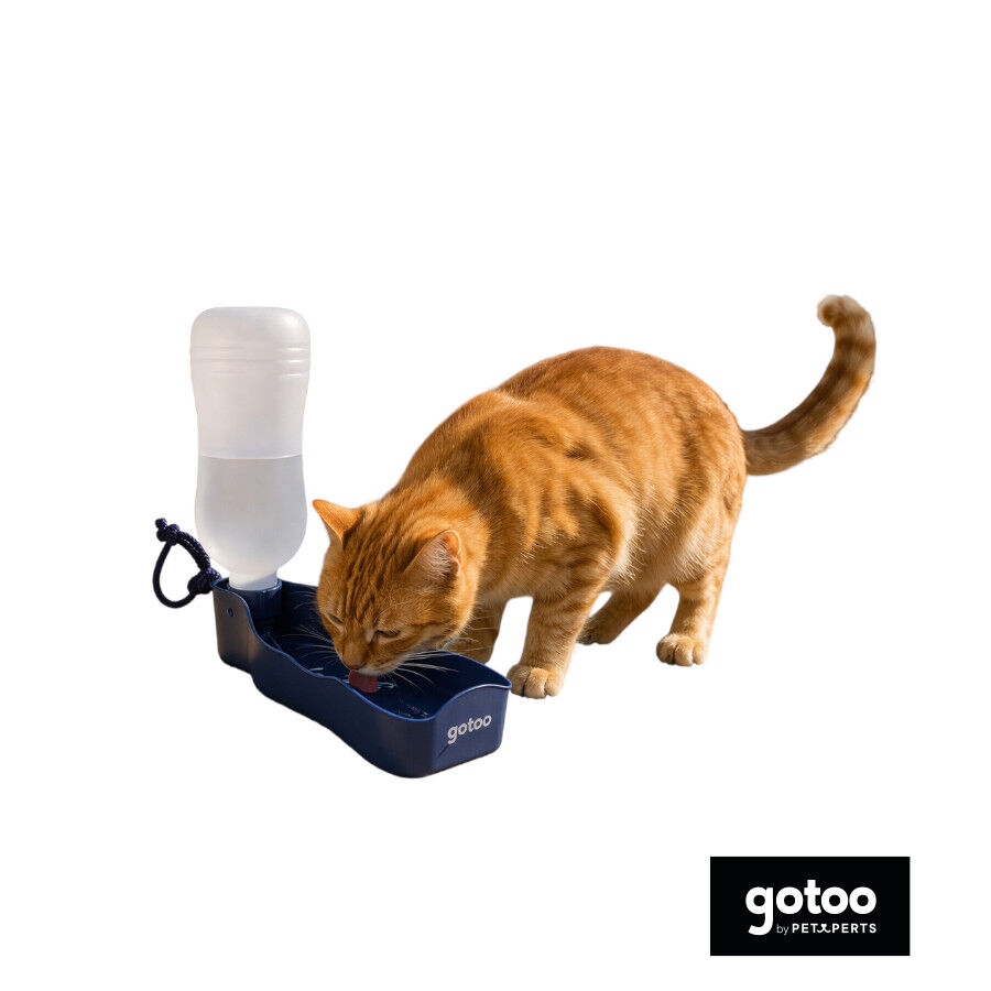 Gotoo Botella Bebedero Port&aacute;til de Pl&aacute;stico Azul para perros y gatos, , large Imagen numero 7