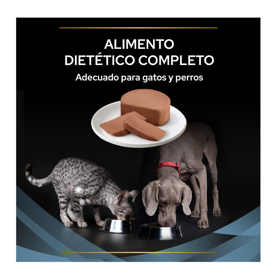 Pro Plan Veterinary Diets Convalescence latas para perros y gatos thumbnail