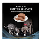 Pro Plan Veterinary Diets Convalescence latas para perros y gatos, , large image number null