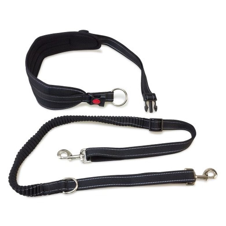 Cinturón con correa para perros color Negro thumbnail