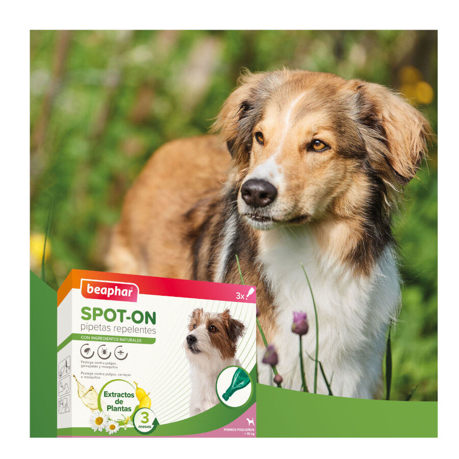 Beaphar Pipetas Repelentes para perros thumbnail