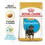 12 kg Royal Canin Puppy Rottweiler pienso para perros , , large indicador imagen numero 2