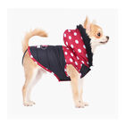 Disney Abrigo Acolchado Minnie para perros, , large image number null