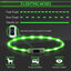 Nobleza - 2 × Collar Luminoso Perro de Seguridad Personalizado, 3 Modos Collar Luz Perro con USB Recargable, Ajustable Impermeable Collares LED para Perros Pequeños/Medianos/Grandes(Verde), , large indicador imagen numero 2
