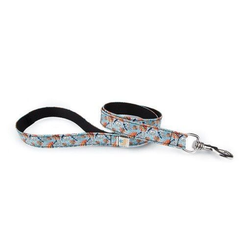 Correa Pamppy Galgo C&oacute;mic Acme para perros, , large Imagen numero 1