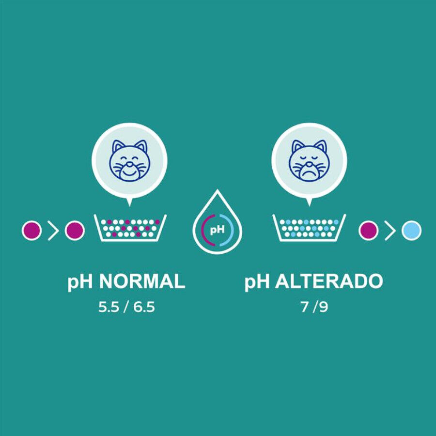 Lindocat Advance Control Arena Aglomerante para gatos, , large Imagen numero 4