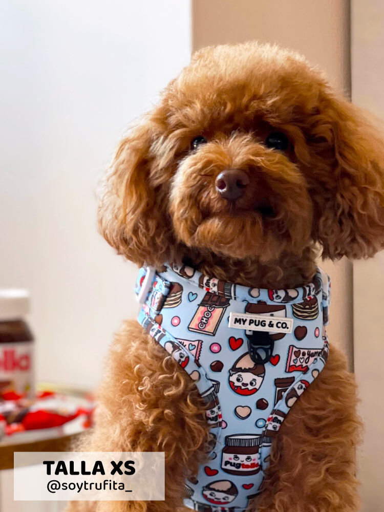 Arn&eacute;s Ajustable Pugtella, , large Imagen numero 3