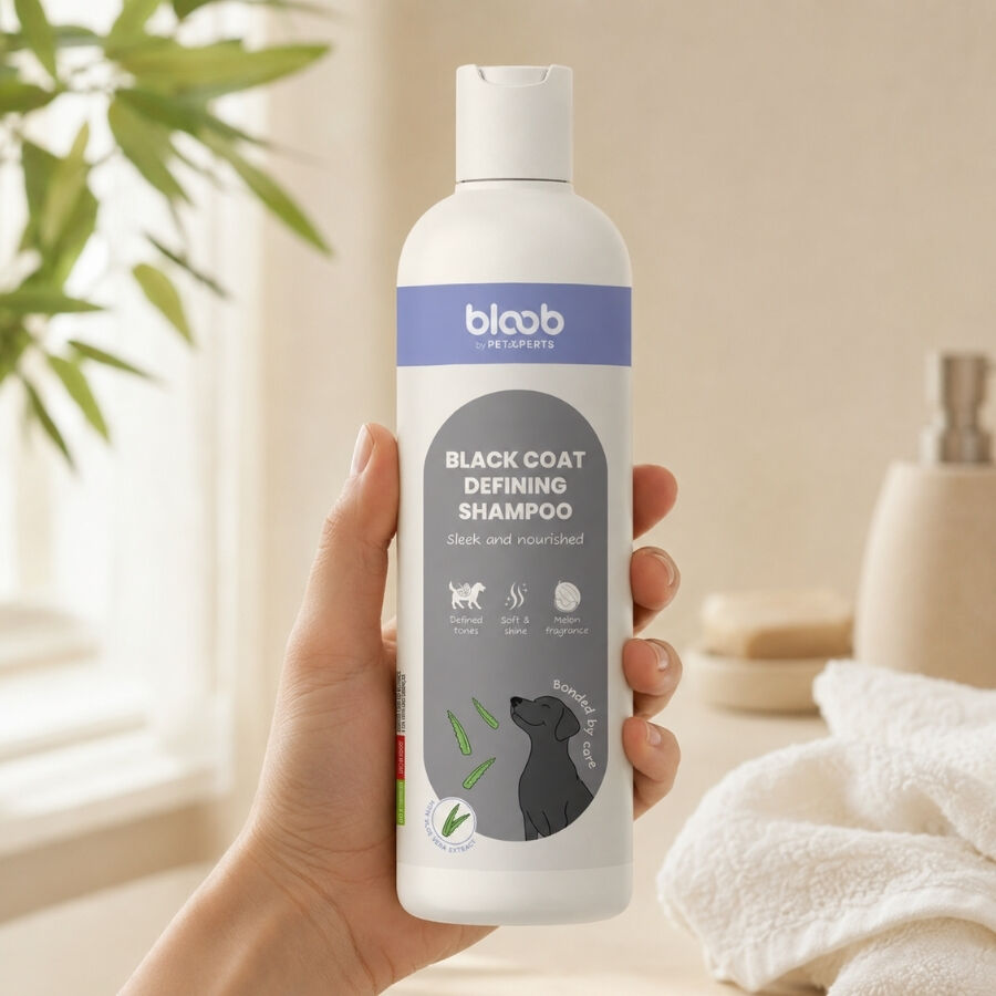 Bloob Champ&uacute; Definidor Mantos Negros Mel&oacute;n para perros, , large Imagen numero 1