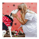 Disney Abrigo Acolchado Minnie para perros, , large image number null