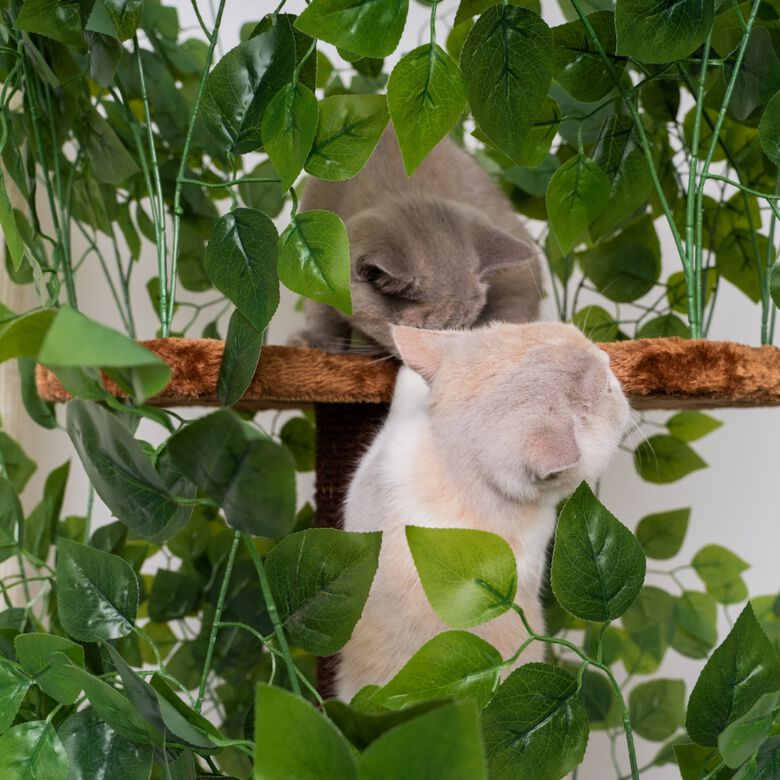 Rhrquality Rascador Diseño Natural Leaves Para Gatos thumbnail