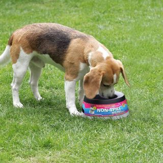 Cuenco bebedero antigoteo para perros y gatos color Gris