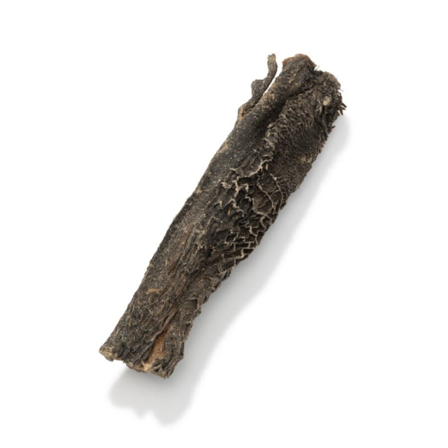 Nutriment Barrita Tripa Vacuno Snack para perros, , large Imagen numero 2