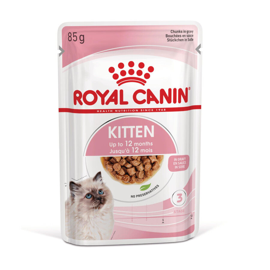 Royal Canin Kitten sobre en salsa para gatos