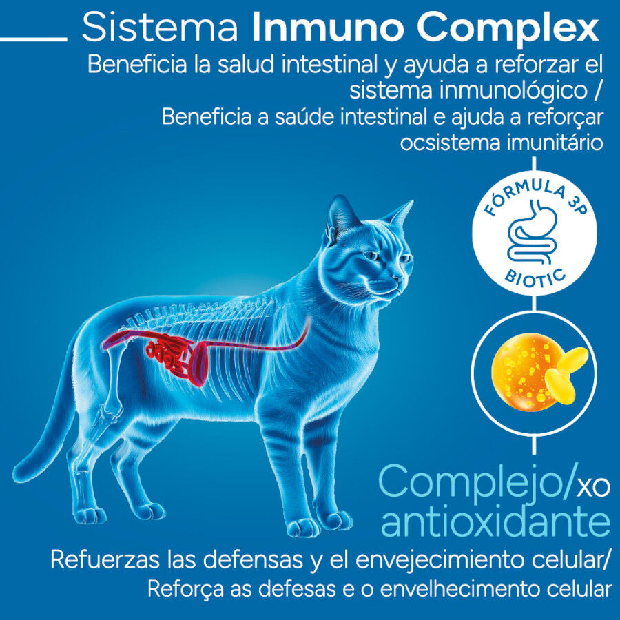 Criadores Cient&iacute;fico Mature +7 Pollo pienso para gatos, , large Imagen numero 3