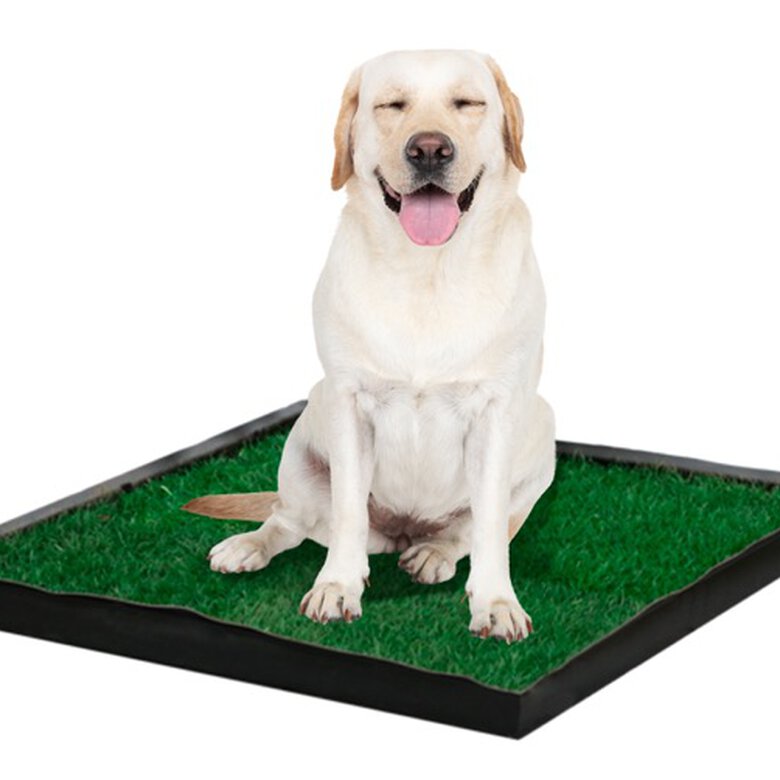 Petground recambio empapador ecológico para perros, , large image number null