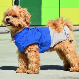 Nayeco X-TRM Chubasquero Azul y Gris para perros