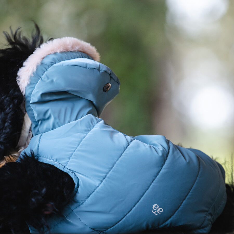 Freedog Abrigo Impermeable Iceguard Azul Cielo para perros thumbnail