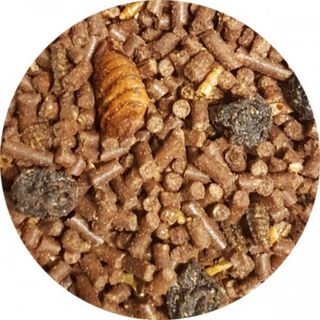Pienso de insectos, larvas y bayas para petauros sabor Neutro