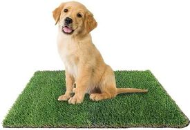 PETplus Alfombra Entrenamiento Pipi para Perro