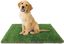 EMPAPADOR REUTILIZABLE ALFOMBRA ENTRENAMIENTO PIPI PARA PERRO CÉSPED ARTIFICIAL PETPLUS, , large indicador imagen numero 1