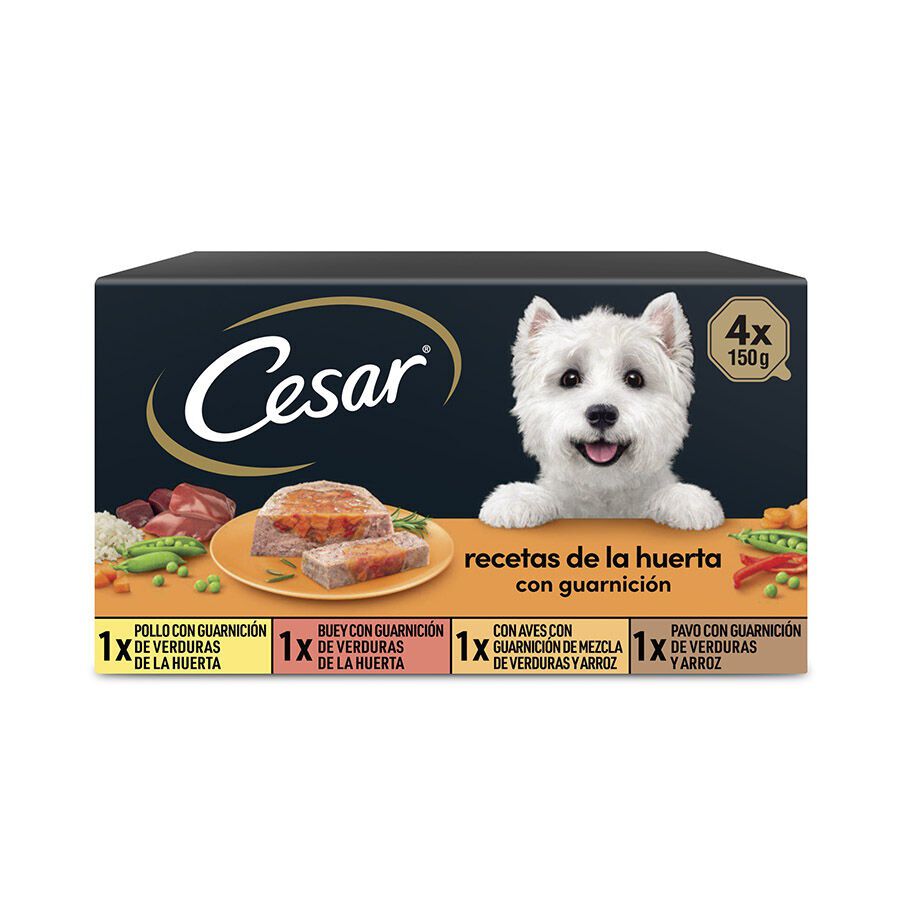 Cesar Recetas de la huerta Tarrina en Paté y Gelatina para Perros - Multipack thumbnail