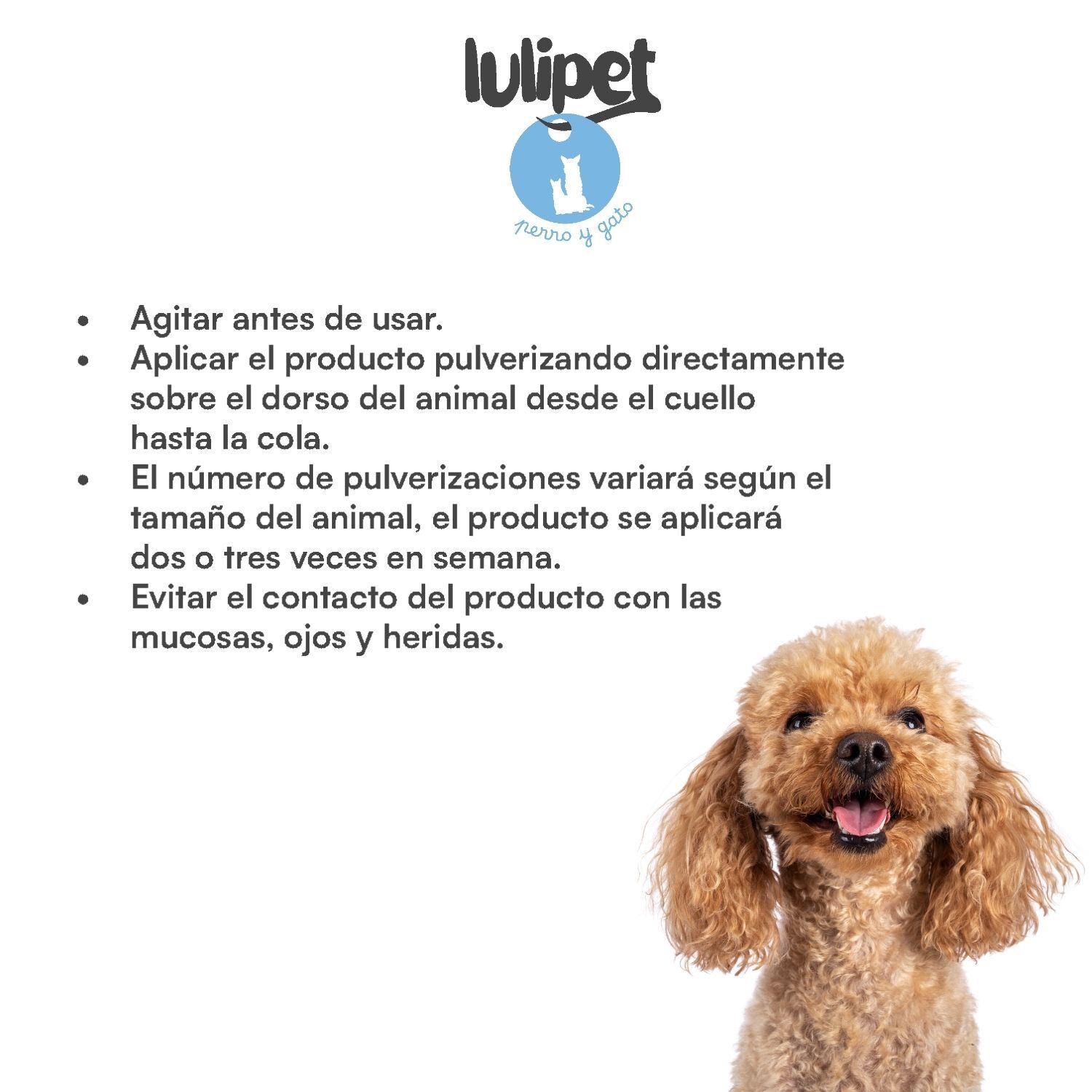 Spray Repelente de Insectos 360 &ordm;  500 ml, , large Imagen numero 4