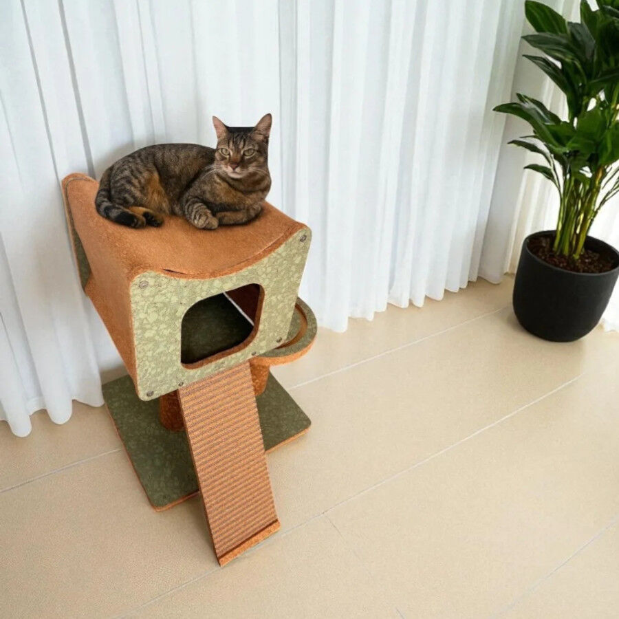 Althea Living - Estructura de Escalada de Corcho Faro, , large Imagen numero 3