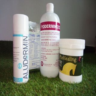 Pack para heridas de caballos