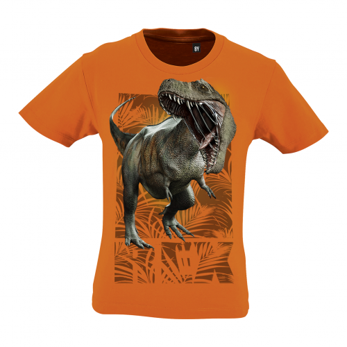 Camiseta Ni&ntilde;o Rex color Naranja, , large Imagen numero 1