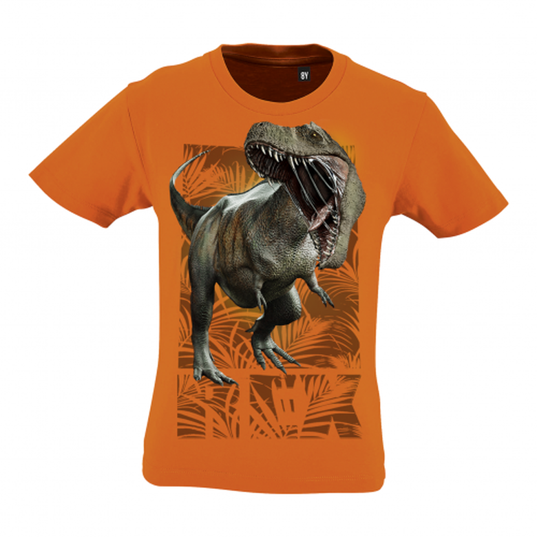Camiseta Niño Rex color Naranja, , large image number null