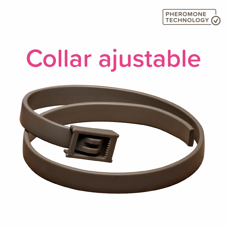 Beaphar CaniComfort Collar Calmante 45 cm para perros, , large Imagen numero 2