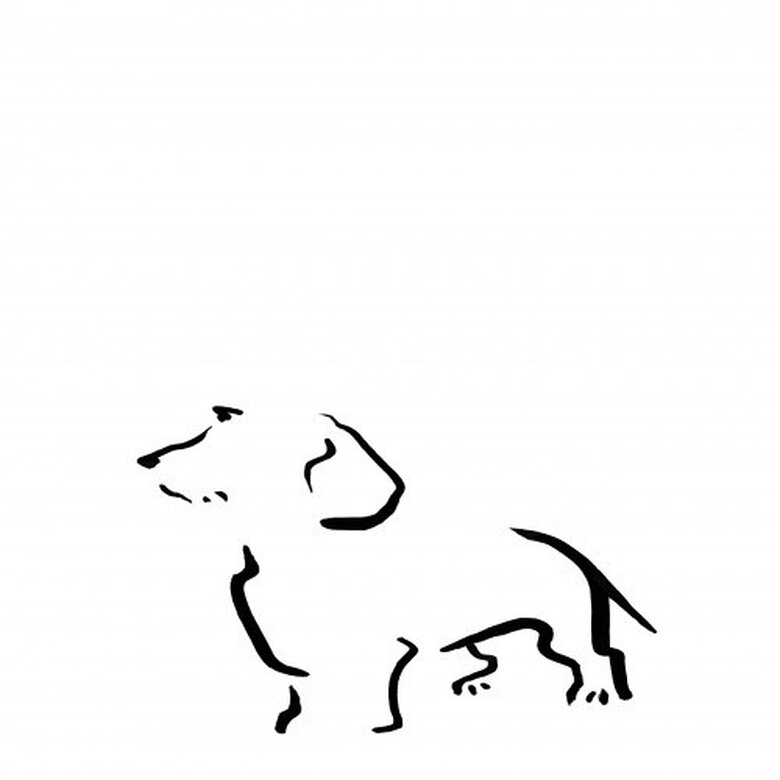 Ilustración de Terrier A4 sin marco color Blanco, , large image number null