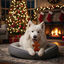 75 g Wonder Christmas Galleta de Jengibre para perros, , large indicador imagen numero 2