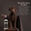Petuxe mascarilla para perros de agua y pelo rizado, , large indicador imagen numero 4