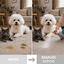 Nice Care Detergente Eliminador Orines y Manchas para perros y gatos, , large indicador imagen numero 4