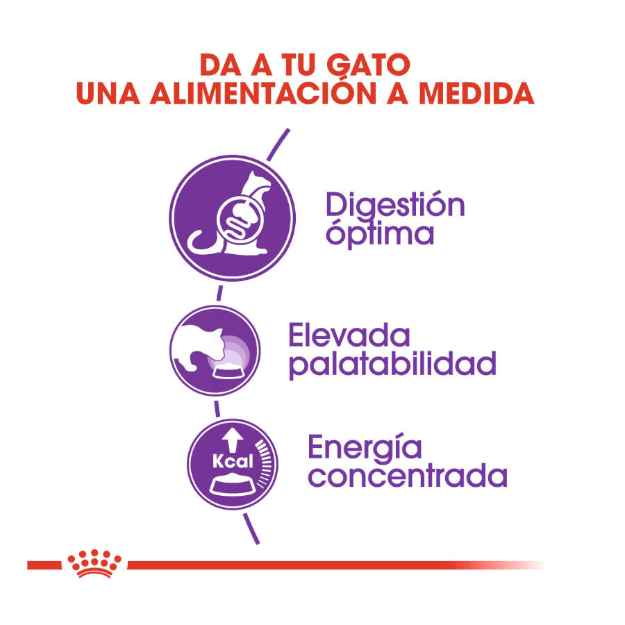 Royal Canin Regular Sensible 33 pienso para gatos thumbnail