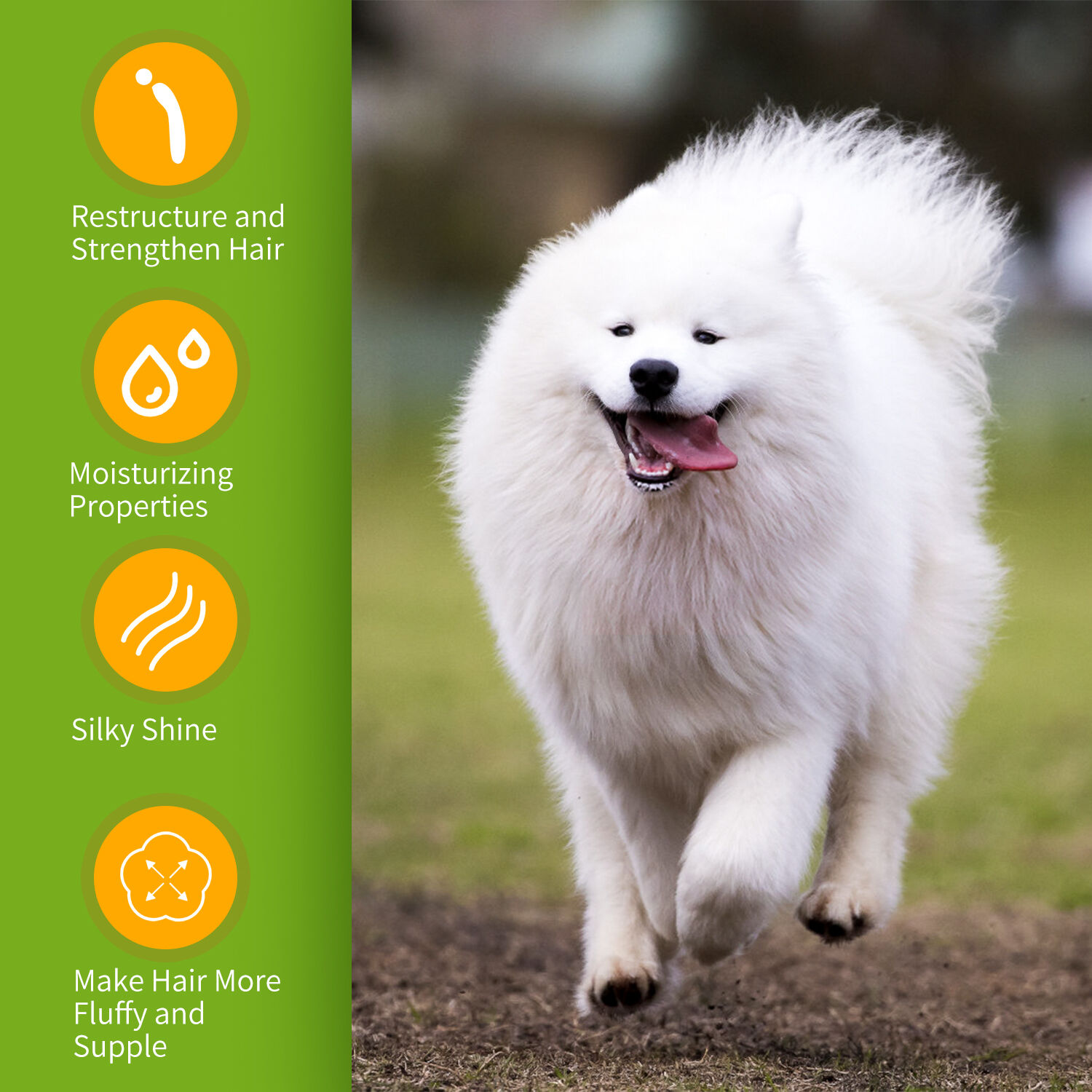 Nobleza champ&uacute; para perros blancos -Eliminar las manchas sin lej&iacute;a ni per&oacute;xido, champu perros pelo blanco con Fragancia de Naranja, Champ&uacute; para bich&oacute;n, Malt&eacute;s y Samoyedo  250 ml, , large Imagen numero 4
