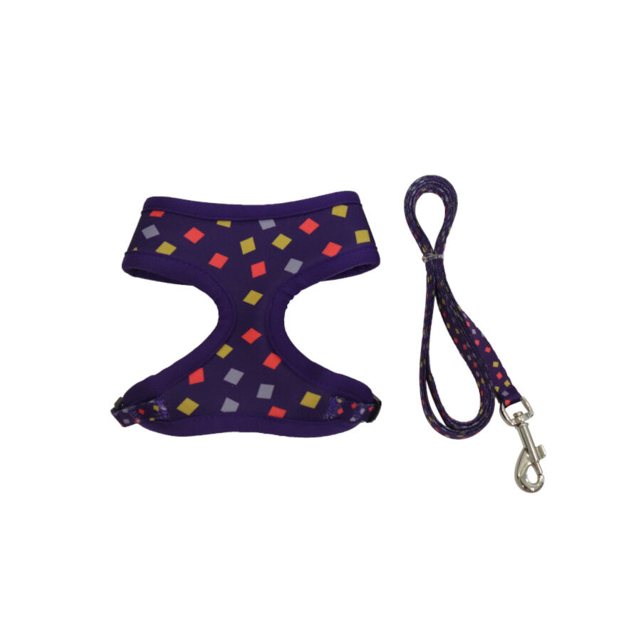 Gotoo Correa y arn&eacute;s estampado geometrico para gatos , , large Imagen numero 1