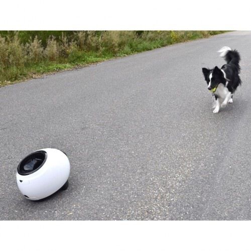 Lanzador de pelota color Blanco, , large Imagen numero 5