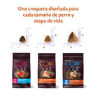 Wellness Core Adult Small Original Pavo y Pollo pienso para perros, , large image number null