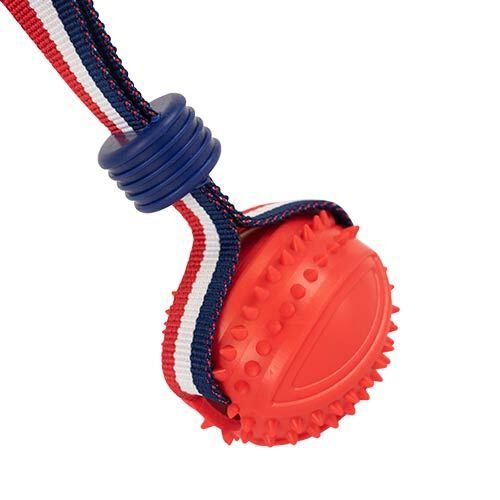 Lanzador el&aacute;stico con pelota LANZADOR PELOTA REDONDA AZUL, , large Imagen numero 3