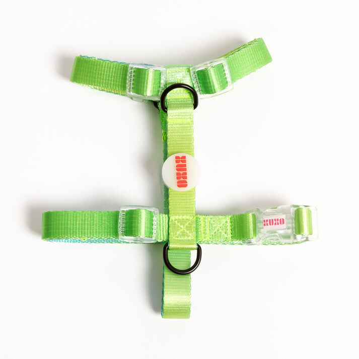 Arn&eacute;s NEON PARTY TROPICAL, , large Imagen numero 1