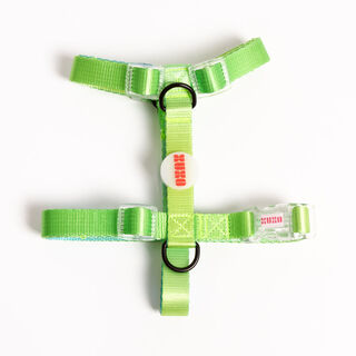 XUXO Arnés verde NEON PARTY TROPICAL para perros