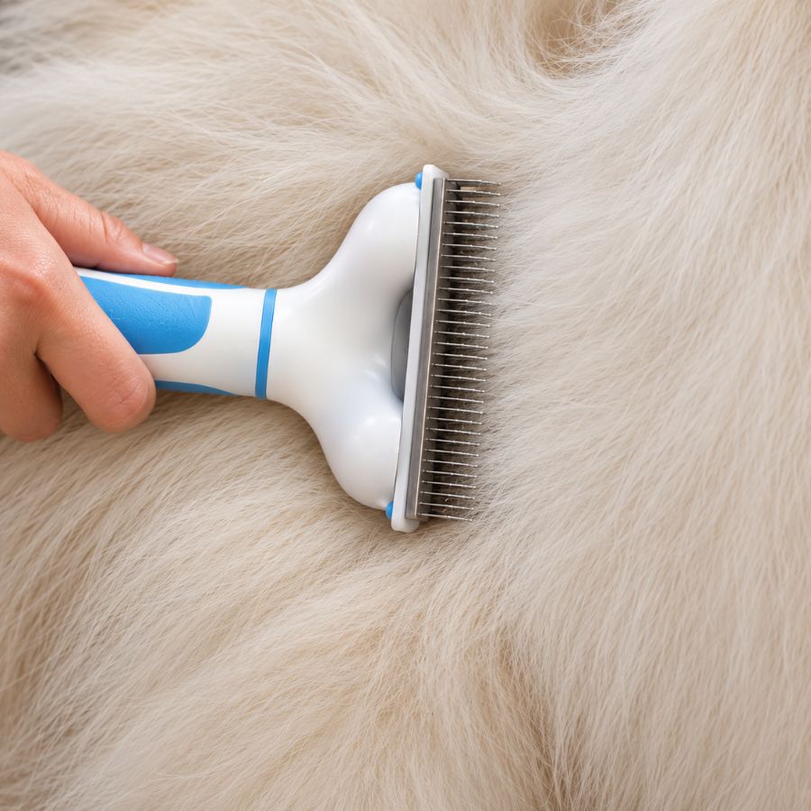 Bloob Cepillo Deslanador Subpelo para perros, , large Imagen numero 4
