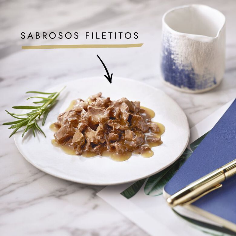 Gourmet Perle Dúo Filetes de Carnes sobre para gatos thumbnail