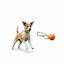 BECO Mordedor de Goma con Cuerda Naranja para perros, , large indicador imagen numero 6