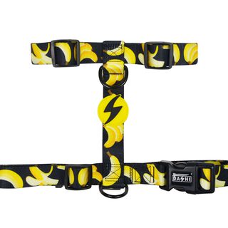 Dashi Arnés Eco Banana para perros