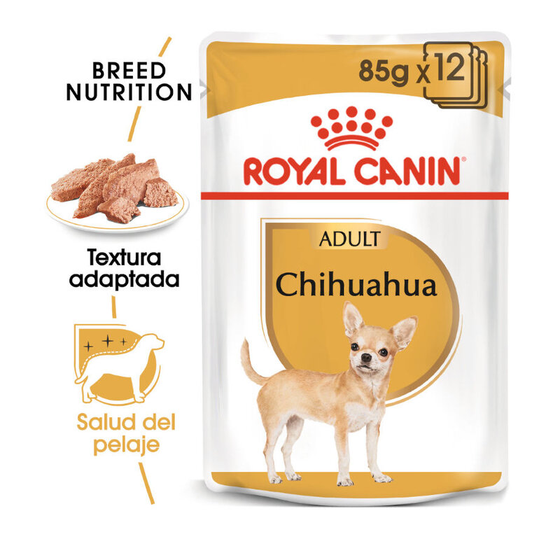 Royal Canin Adult Chihuahua paté en sobre , , large image number null