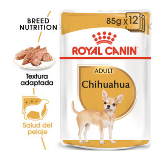 Royal Canin Adult Chihuahua paté en sobre